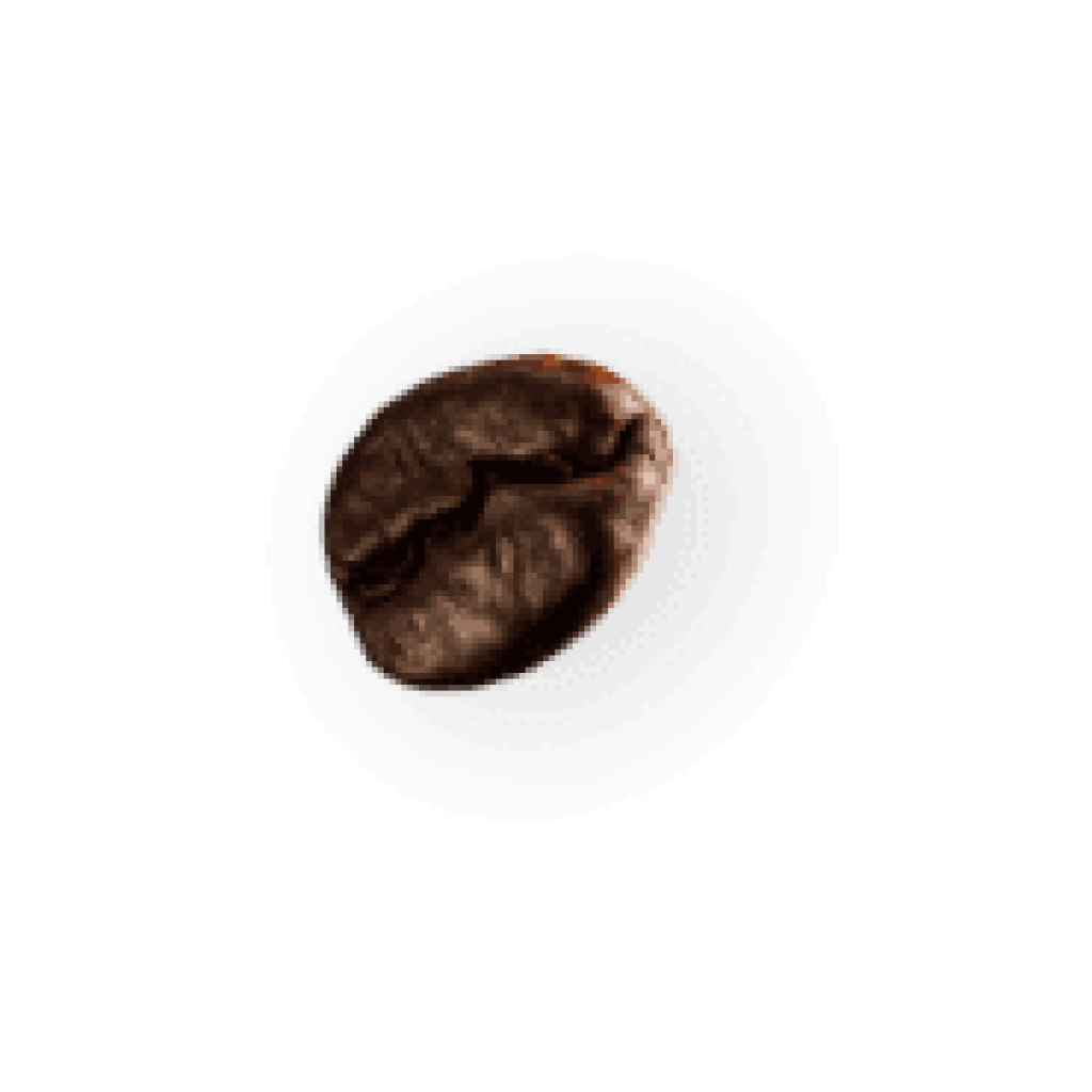 coffee-beans-P4MXYZD2-1